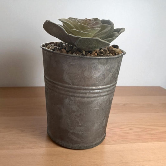 Faux Succulent