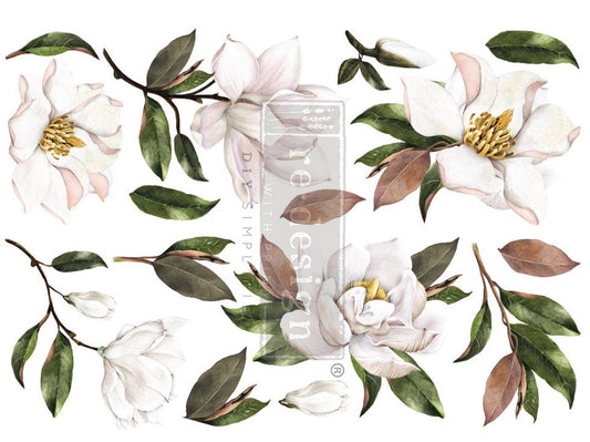 https://cdn.shopify.com/s/files/1/0536/2640/5056/products/MagnoliaGrandifloracopy.jpg?v=1683044496