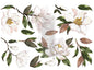 https://cdn.shopify.com/s/files/1/0536/2640/5056/products/MagnoliaGrandifloracopy.jpg?v=1683044496
