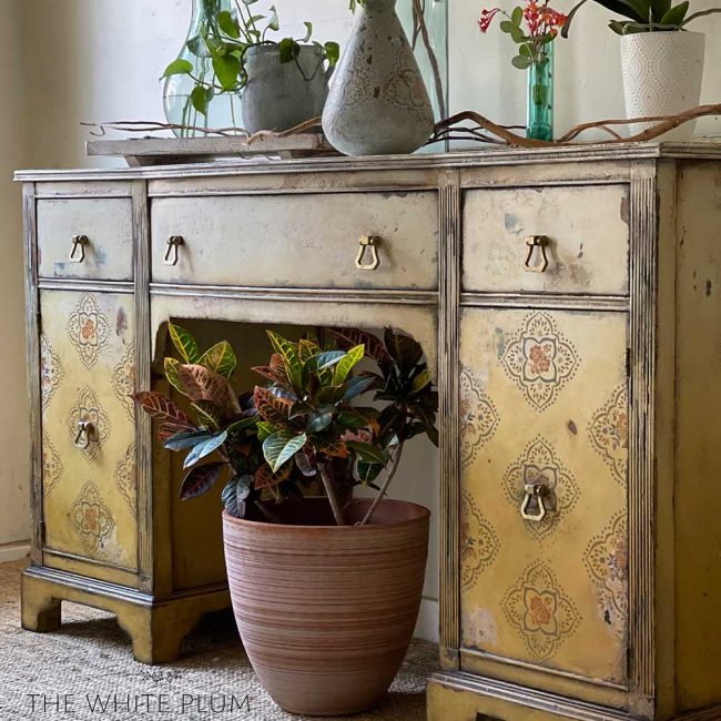 https://cdn.shopify.com/s/files/1/0536/2640/5056/files/PetiteTile3.jpg?v=1696956791