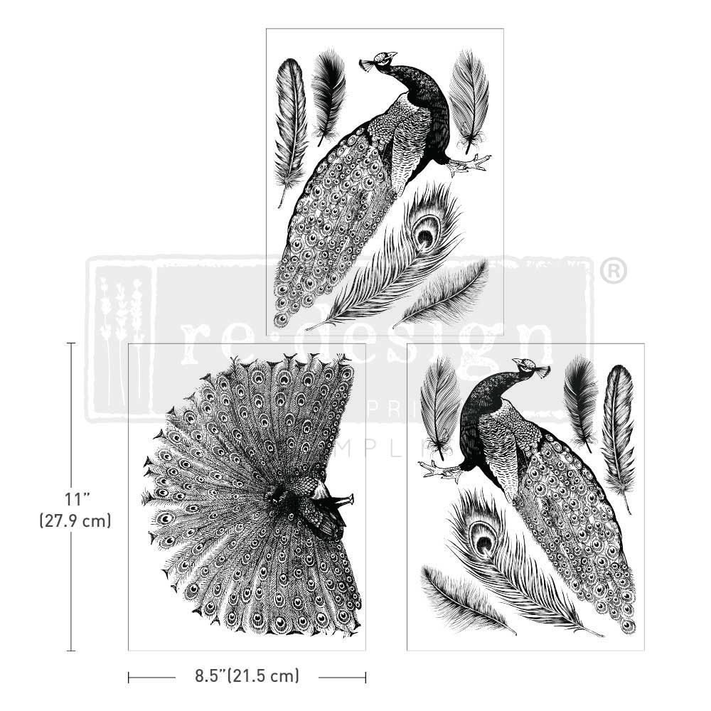 https://cdn.shopify.com/s/files/1/0536/2640/5056/files/RegalPeacock.jpg?v=1741970050