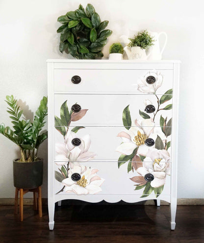 https://cdn.shopify.com/s/files/1/0536/2640/5056/products/magnolia_grandiflora2.jpg?v=1680573158