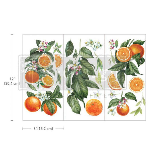 Citrus Slice Transfers Decor