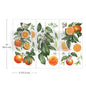 Citrus Slice Transfers Decor